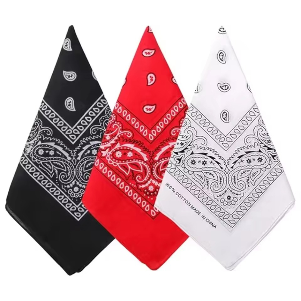 Hip Hop Cowboy Paisley Scarf L - Ascot Neck Scarf review and price