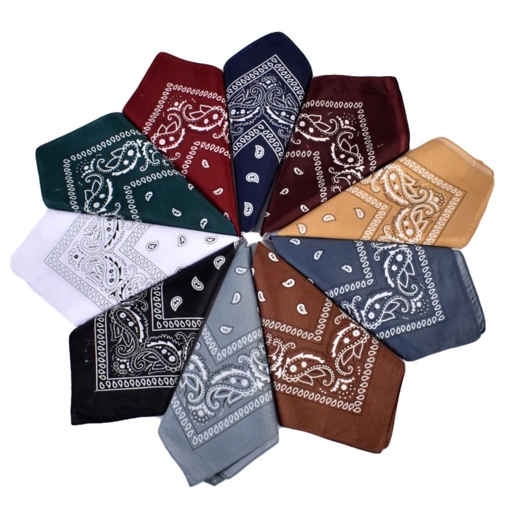 Hip Hop Cowboy Paisley Scarf L - Ascot Neck Scarf review and price