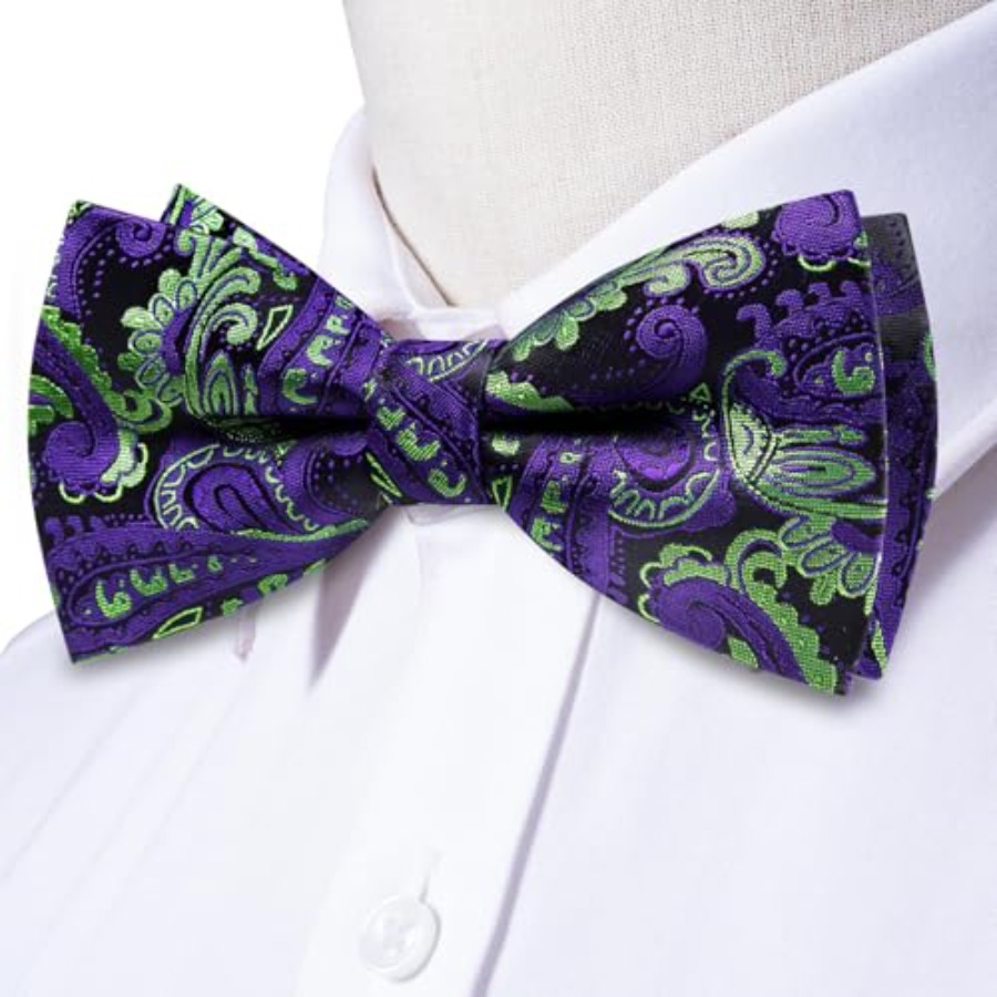 Mens Paisley Striped Bowtie Se - Pocket Square Set review and price